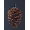 FibroTech Akustikpaneler & Tilbehør*Akustikbillede Art-Acoustic koglen 60 x 120 cm - mørk grå