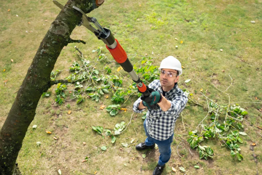 Bosch Beskæring*AdvancedPrune 18V-45 beskæresaks
