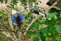 Bosch Motorsave & Kæder*UniversalChainPole 18 kædesav m/teleskop