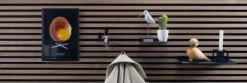 FibroTech Akustikpaneler & Tilbehør*Dots knager til akustikpanel Ø4,5 cm - Køb i butik Sort