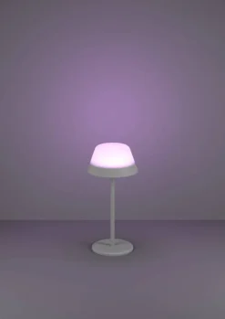 Eglo Udendørslamper|Bordlamper*Meggiano bordlampe genopladelig Grå