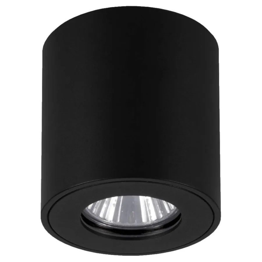Eglo Udendørslamper*Torrecola loftlampe rund Sort
