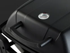 Grillexpert® Elgrill*Elgrill 2200 W 101 x 47 x 34,8 cm -