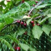 Garden® Fugle- & Insektnet*Fuglenet 2 x 5 meter -