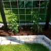 Rionet*Galvaniseret armeringsnet - 5 mm