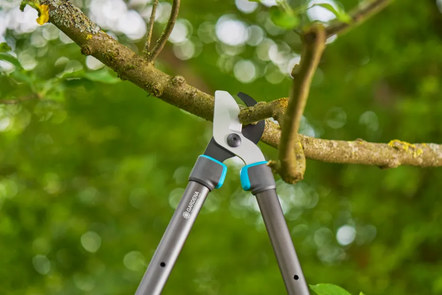 GARDENA Beskæring*grensaks Telecut Pro S