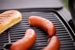 Grillexpert® Gasgrill*Gasgrill bærbar 1 brænder -