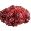 Grønne Fingre® Løg*stikløg rødløg 'Red Baron' 250 g