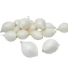 Grønne Fingre® Løg*stikløg salatløg Snowball 250 g