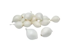 Grønne Fingre® Løg*stikløg salatløg Snowball 250 g