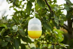 Garden® Fælder|Insektmidler*Hvepsefælde -