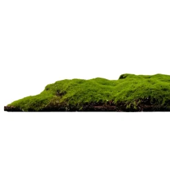 Jangal Grønne Vægpaneler|Akustikpaneler & Tilbehør*Modular Wall mospanel 52 x 52 cm - Forrest Green Bulk