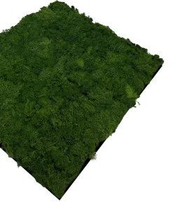 Jangal Grønne Vægpaneler|Akustikpaneler & Tilbehør*Modular Wall mospanel 52 x 52 cm - Dark Green Dark Green Moss