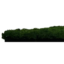 Jangal Grønne Vægpaneler|Akustikpaneler & Tilbehør*Modular Wall mospanel 52 x 52 cm - Dark Green Dark Green Moss