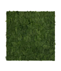 Jangal Grønne Vægpaneler|Akustikpaneler & Tilbehør*Modular Wall mospanel 52 x 52 cm - Dark Green Dark Green Moss