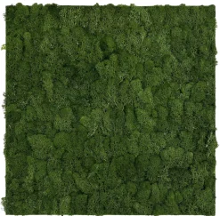 Jangal Grønne Vægpaneler|Akustikpaneler & Tilbehør*Modular Wall mospanel 52 x 52 cm - Dark Green Dark Green Moss
