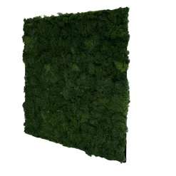 Jangal Grønne Vægpaneler|Akustikpaneler & Tilbehør*Modular Wall mospanel 52 x 52 cm - Dark Green Dark Green Moss