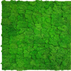 Jangal Grønne Vægpaneler|Akustikpaneler & Tilbehør*Modular Wall mospanel 52 x 52 cm - Rich Green Rich Green Moss