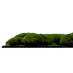 Jangal Akustikpaneler & Tilbehør|Grønne Vægpaneler*Modular Wall mospanel 52 x 52 cm - Dark Green Bulk