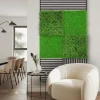 Jangal Grønne Vægpaneler|Akustikpaneler & Tilbehør*Modular Wall plantepanel 52 x 52 cm - Thuja