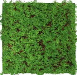 Jangal Grønne Vægpaneler|Akustikpaneler & Tilbehør*Modular Wall plantepanel 52 x 52 cm - Thuja
