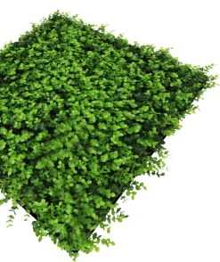 Jangal Grønne Vægpaneler|Akustikpaneler & Tilbehør*Modular Wall plantepanel 52 x 52 cm - Buxus