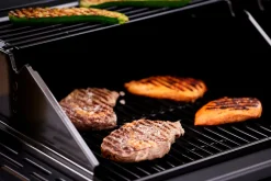 Grillexpert® Kulgrill & Briketter|Gasgrill*Kombigrill til gas og kul - Sort