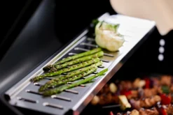 Grillexpert® Kulgrill & Briketter|Gasgrill*Kombigrill til gas og kul - Sort