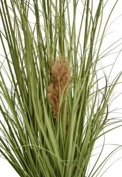 Sæsonafslutning|Kunstige Planter*Kunstgræs med ægte pampas 120 cm