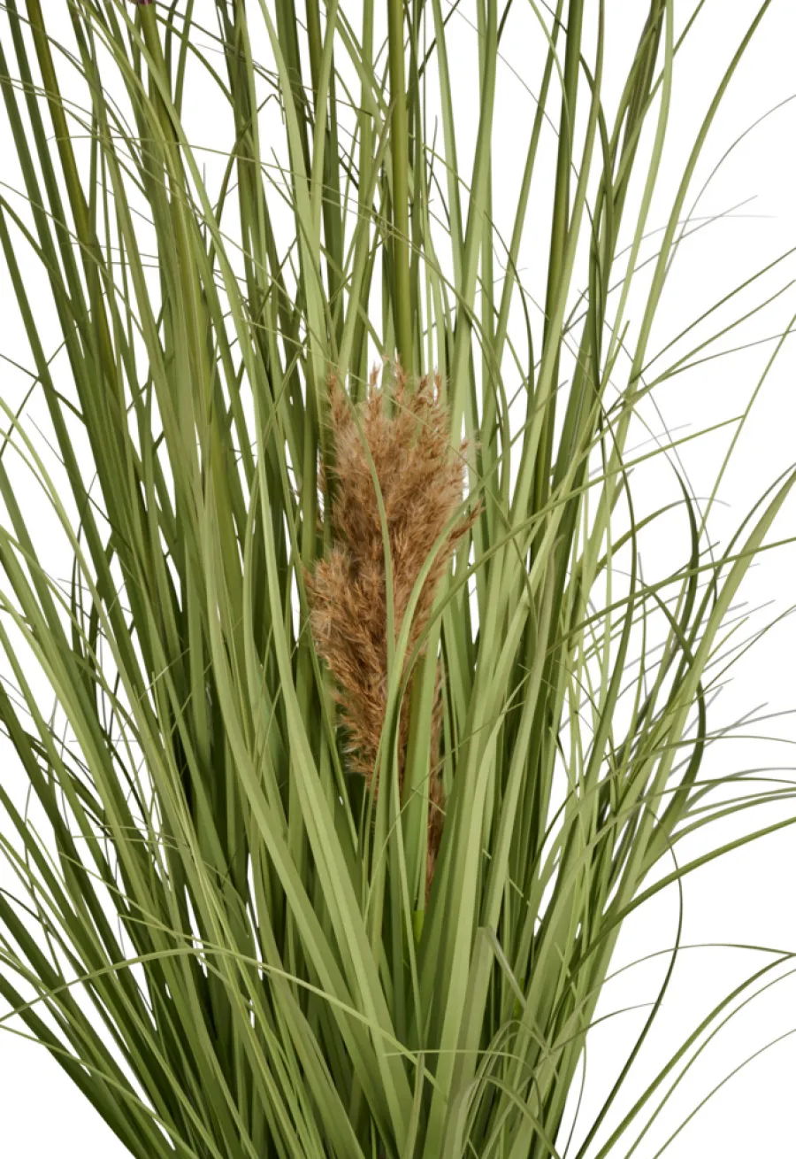 Sæsonafslutning|Kunstige Planter*Kunstgræs med ægte pampas 120 cm
