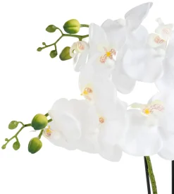 Sæsonafslutning|Kunstige Planter*Kunstig orkidé hvid 46 cm