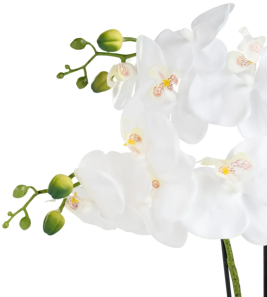 Sæsonafslutning|Kunstige Planter*Kunstig orkidé hvid 46 cm