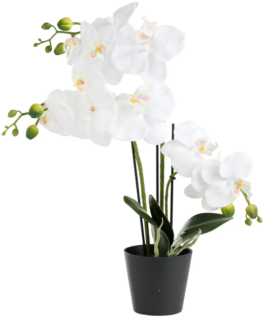 Sæsonafslutning|Kunstige Planter*Kunstig orkidé hvid 46 cm