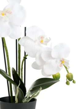 Sæsonafslutning|Kunstige Planter*Kunstig orkidé hvid 46 cm