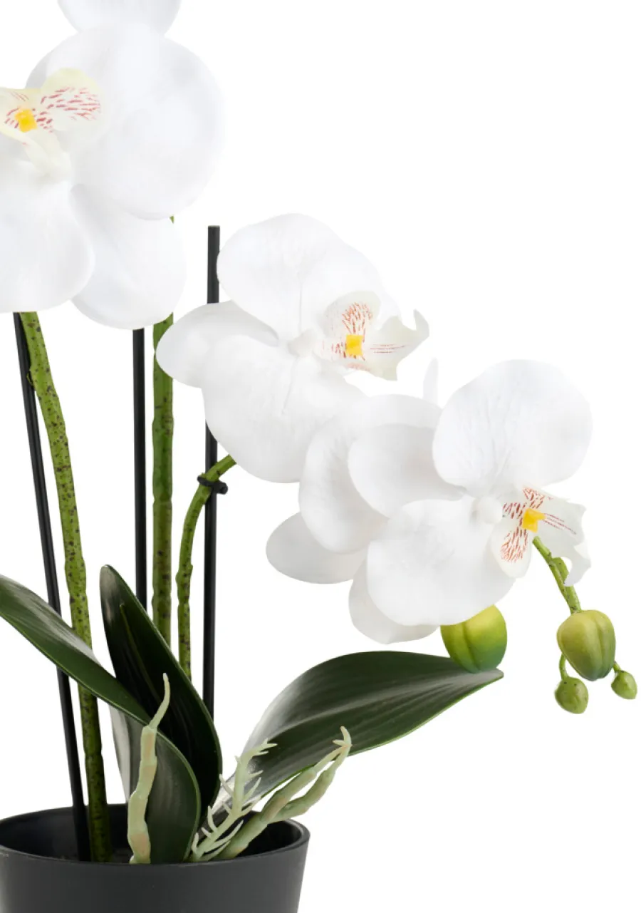 Sæsonafslutning|Kunstige Planter*Kunstig orkidé hvid 46 cm