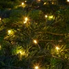 Stemning® Dekorativ Belysning - Udendørs*Lyskæde Basis 50 LED m/timer 4,9 meter