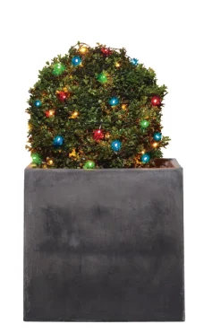 Stemning® Dekorativ Belysning - Udendørs*Lyskæde Basis 300 LED multi 29,9 meter