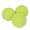 PetZone Hunde- Og Katteartikler*Mini tennisbolde til hund 3-pk. -