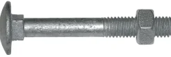 NKT Fasteners Bolte & Møtrikker*bræddebolt M10 x 100 mm 2 stk.