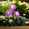 Garden® Sæsonafslutning|Solcellelamper*Solcelleblomst Hortensia -