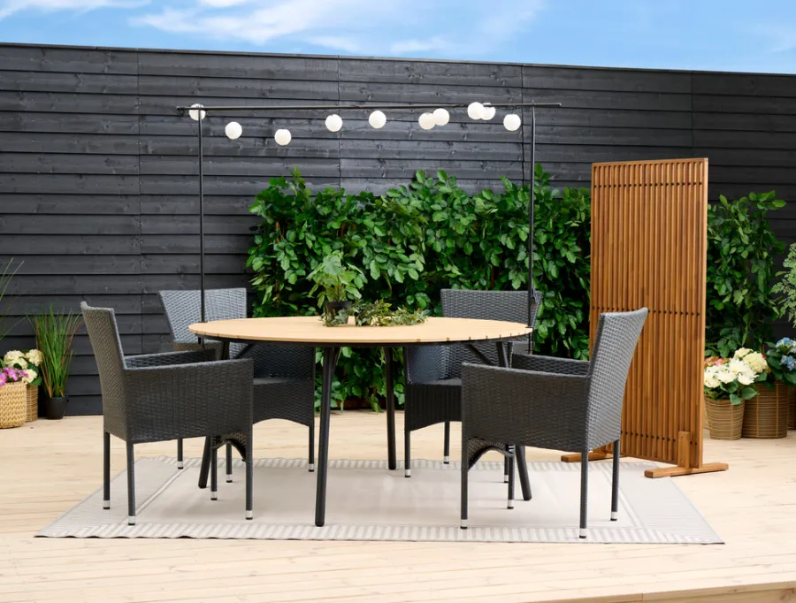 Sunlife® Sæsonafslutning|Læhegn*Terrasseafskærmning New York akacie - Natur