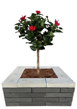 Betongruppen RBR Læ- & Støttemure*Topplade Nordic Wall grå 60 x 30 x 10 cm