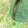 Garden® Havevanding*Vandingspose til træer 75 liter -