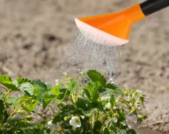 HOME it GARDEN Havevanding*Vandkande 10 liter
