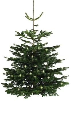 Scan-Pot Krukker|Planteborde & Højbede*Whiskytønde Ø64 cm